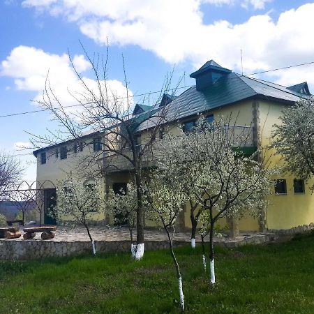 Fata Verde Soldanesti Екстериор снимка