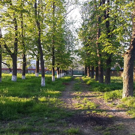 Fata Verde Soldanesti Екстериор снимка