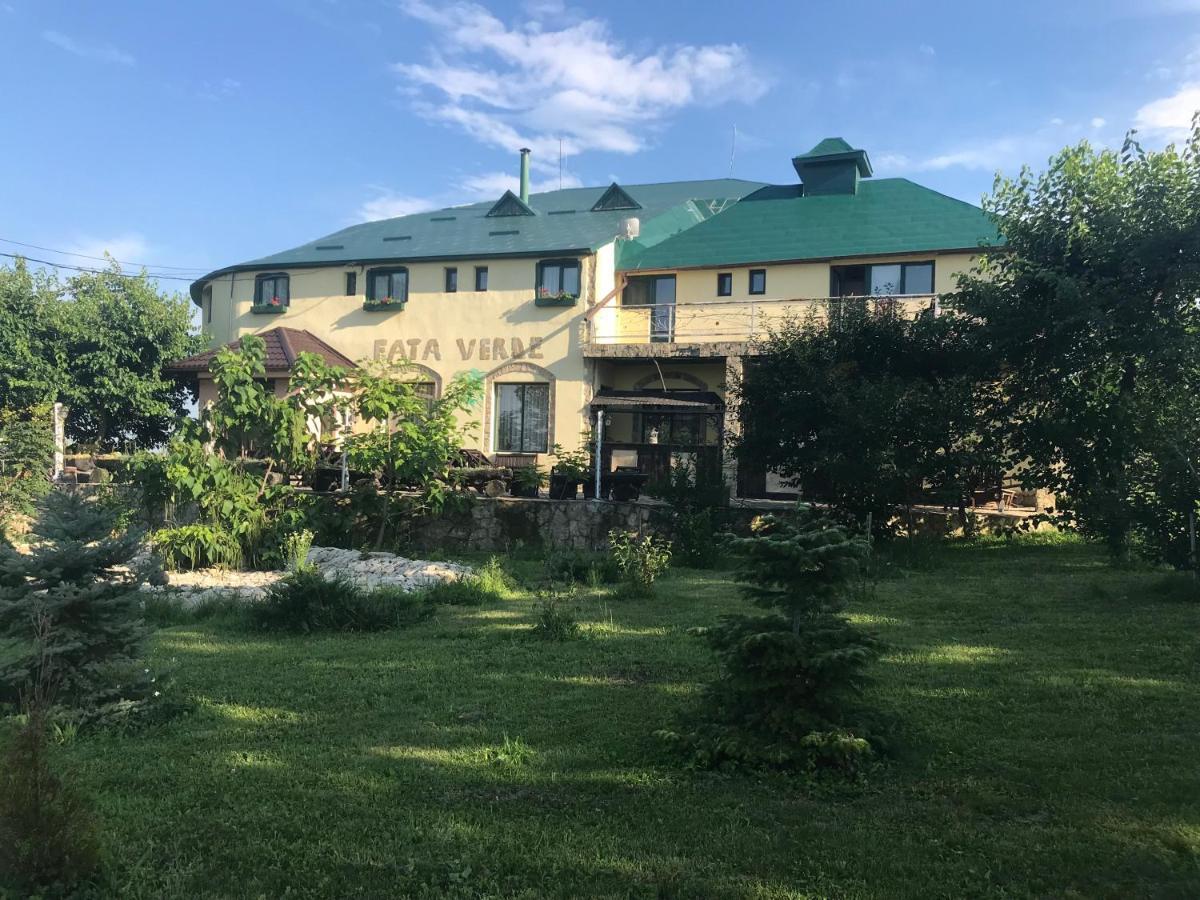 Fata Verde Soldanesti Екстериор снимка