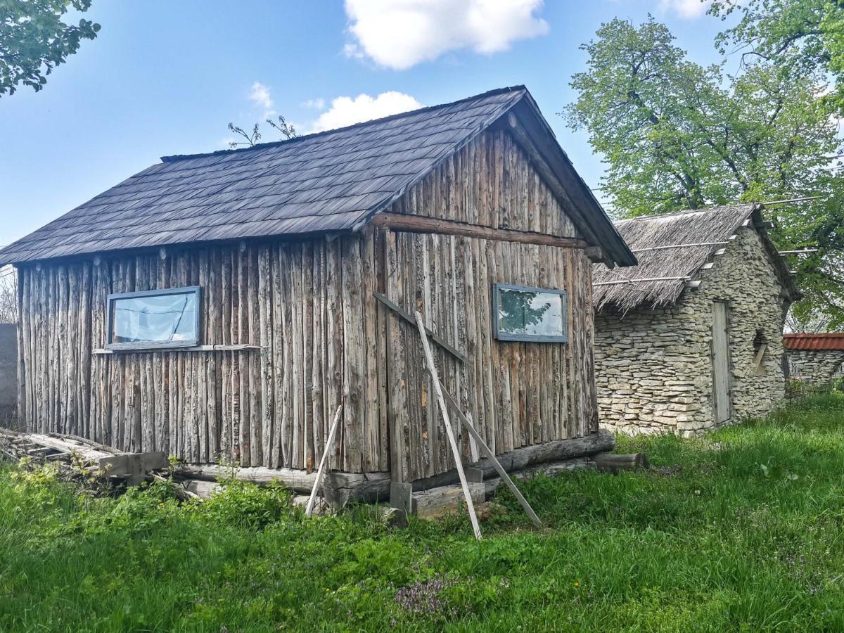 Fata Verde Soldanesti Екстериор снимка