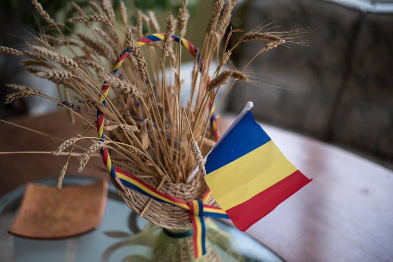 Fata Verde Soldanesti Екстериор снимка
