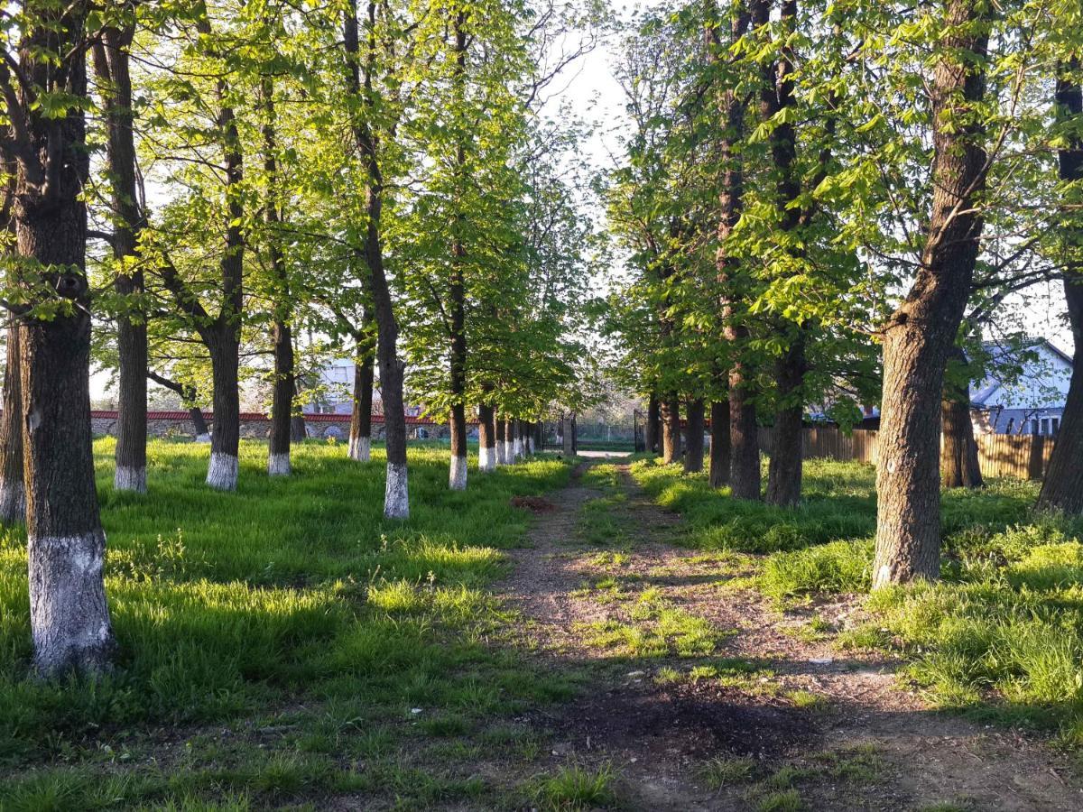 Fata Verde Soldanesti Екстериор снимка